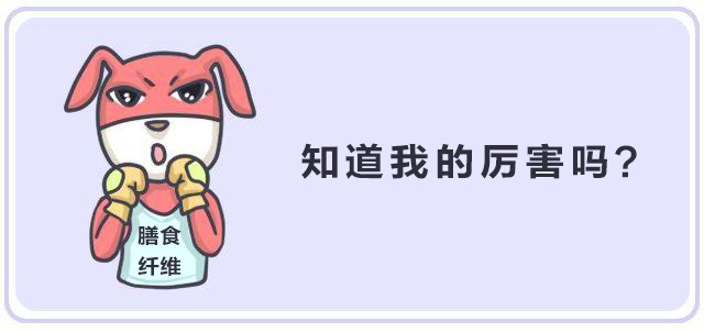 纖維時代，未來已來